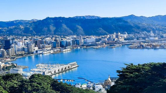 Tagesausflug zum Weta Workshop Store und den Highlights in Wellington, Neuseeland [Kleine Gruppe mit 2-11 Personen]