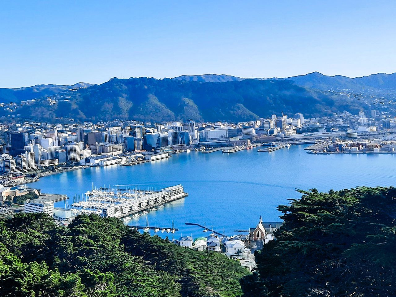 ทัวร์ 1 วัน เวลลิงตัน นิวซีแลนด์ ร้านค้าสตูดิโอ Weta + จุดท่องเที่ยวสำคัญ [กลุ่มเล็ก 2-11 คน]