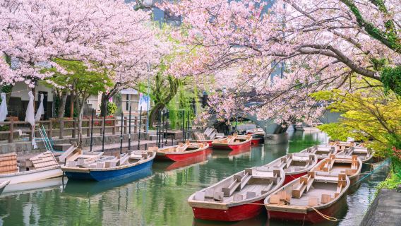 Excursion à la journée : Croisière sur le canal de Yanagawa + Sanctuaire Dazaifu Tenmangu + Expérience fraises ou café (Départ de Fukuoka)