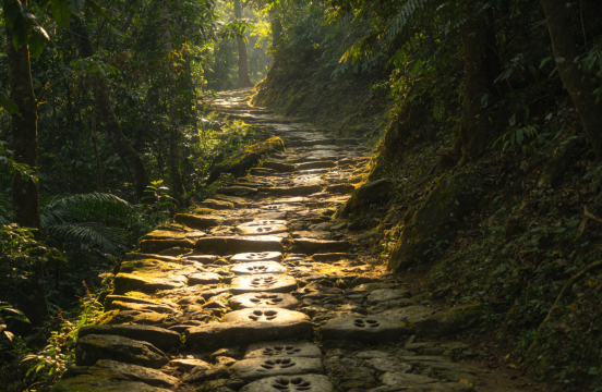 Mendekati alam, memahami sejarah Jalur Kuda Teh "Taman Nasional Hutan Sun River Pu'er - Jalur Kuda T