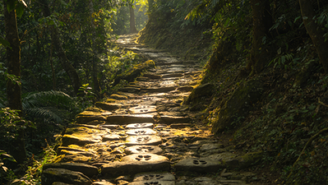 ใกล้ชิดธรรมชาติ เรียนรู้ประวัติศาสตร์เส้นทางชาเก่า "อุทยานแห่งชาติผู่เออร์ซันเหอ - เส้นทางชาเก่า"