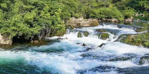 德天跨國瀑布景區+峒那嶼灣一日遊【獨立成團 專車上門接送+純玩無購物】