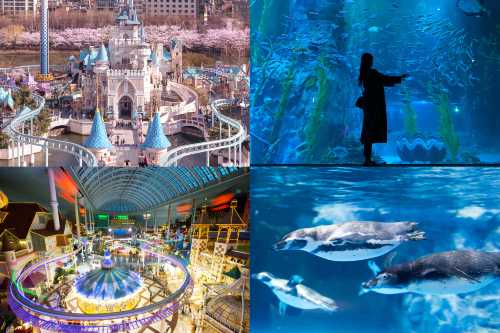 樂天世界+樂天世界水族館一日遊