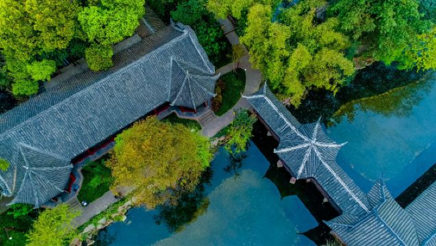 Kumpulan Kecil Eksklusif 2-6 Orang | Berdoa di Buddha Gergasi Leshan + Lawatan Sehari ke Kuil Tiga Su Jemputan Pintu ke Pintu