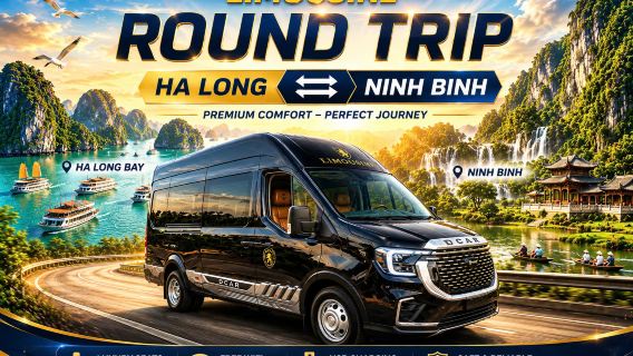 Comparte limusina VIP desde Halong hasta Ninh Binh y viceversa
