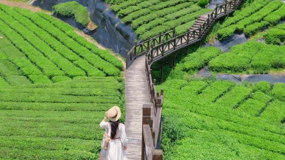 [Lion Pass + Wujiatai + Pemandangan Malam Xuan'en] Pilihan Kumpulan Besar/Kecil|Bertolak Lewat|Jemputan di Tempat