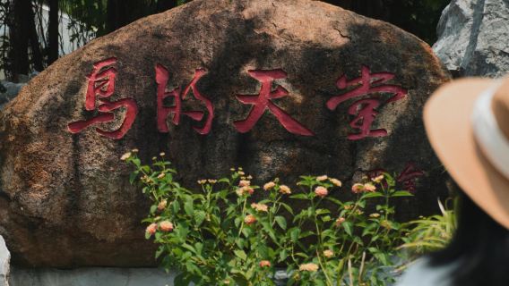 Lawatan Sehari di Jiangmen | Sewaan Peribadi Eksklusif dengan Pengangkutan Pintu ke Pintu + Jalan Tiga Puluh Tiga Xu + Syurga Burung + Kampung Chenpi