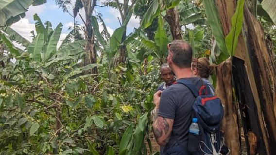 Arusha: Traditional Coffee Tour & Waterfall Village