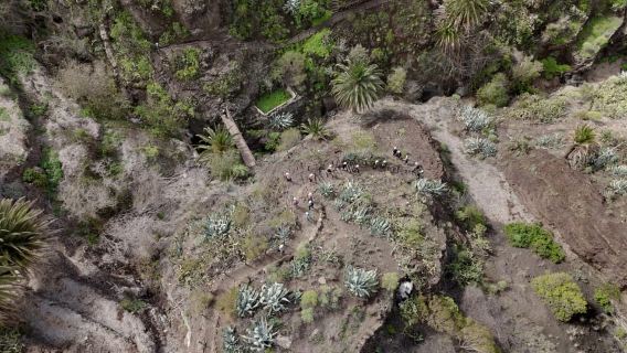 Tenerife: Descent of the Masca Ravine with Audio Guide and Boat Transfer