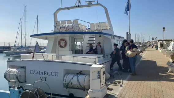 From Avignon: Small Group Full-Day Tour of the Camargue