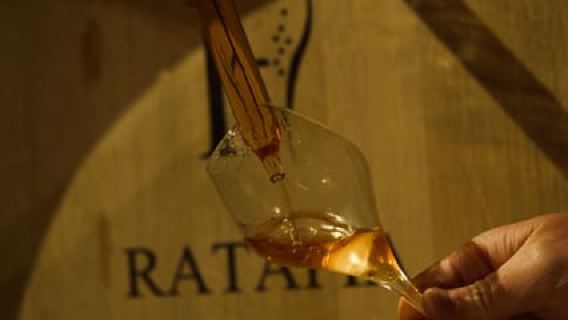 Champagne Cellar Experience: Explore our historic cellars