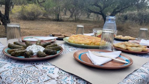 Heraklion: Cretan Farmers Brunch and Olive Grove Tour