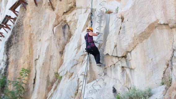 Rocklin: Aerial Adventure Gold Ticket