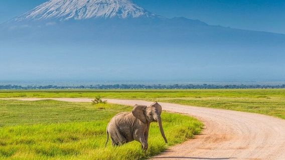 NairobiTours