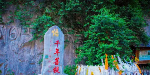 香格里拉巴拉格宗風景名勝區一日遊【景區接駁巴士+純玩+出行無憂】