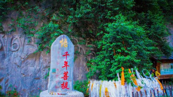 однодневный тур в живописные места Шангри-Ла Балагсон [прямой трансфер до достопримечательности + только отдых + беззаботное путешествие]