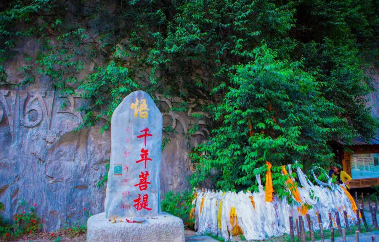 Shangri-La Balagezong Scenic Area 1-day tour [shuttle bus + pure play + worry-free travel]