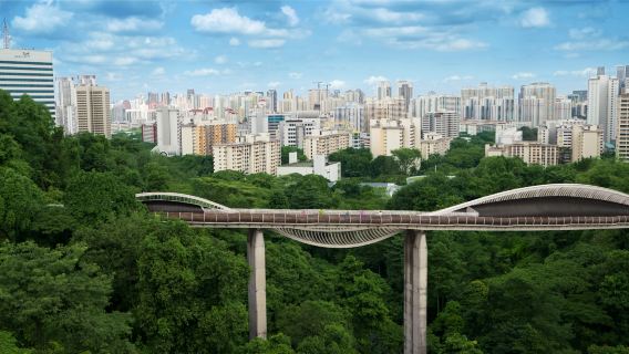 Mount Faber Park+ Henderson Waves Bridge + Southern Ridges Half Day Tour