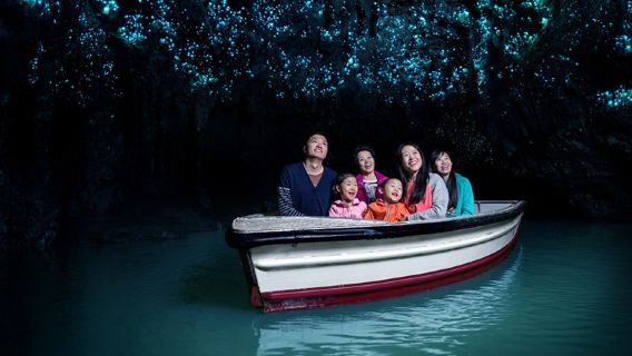 Waitomo CavesTours