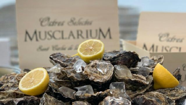 Musclarium: Route of the Mussel Farms