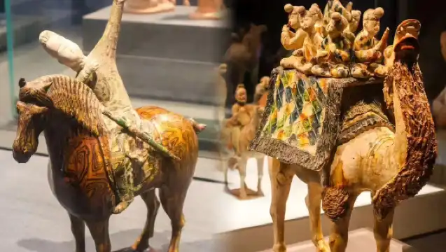 陝西歷史博物館/含本館門票/深度人員導覽/含降噪耳機