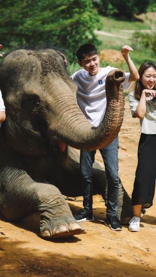 Bintan Safari Lagoi with Hotel Transfer and Lunch Option | Indonesia