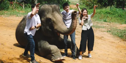 民丹島Safari Lagoi及Bintan Eco Farm連酒店接送及午餐選擇|印尼