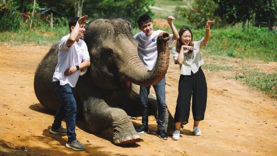 Bintan Safari Lagoi & Eco Farm with Hotel Transfer and Lunch Option | Indonesia