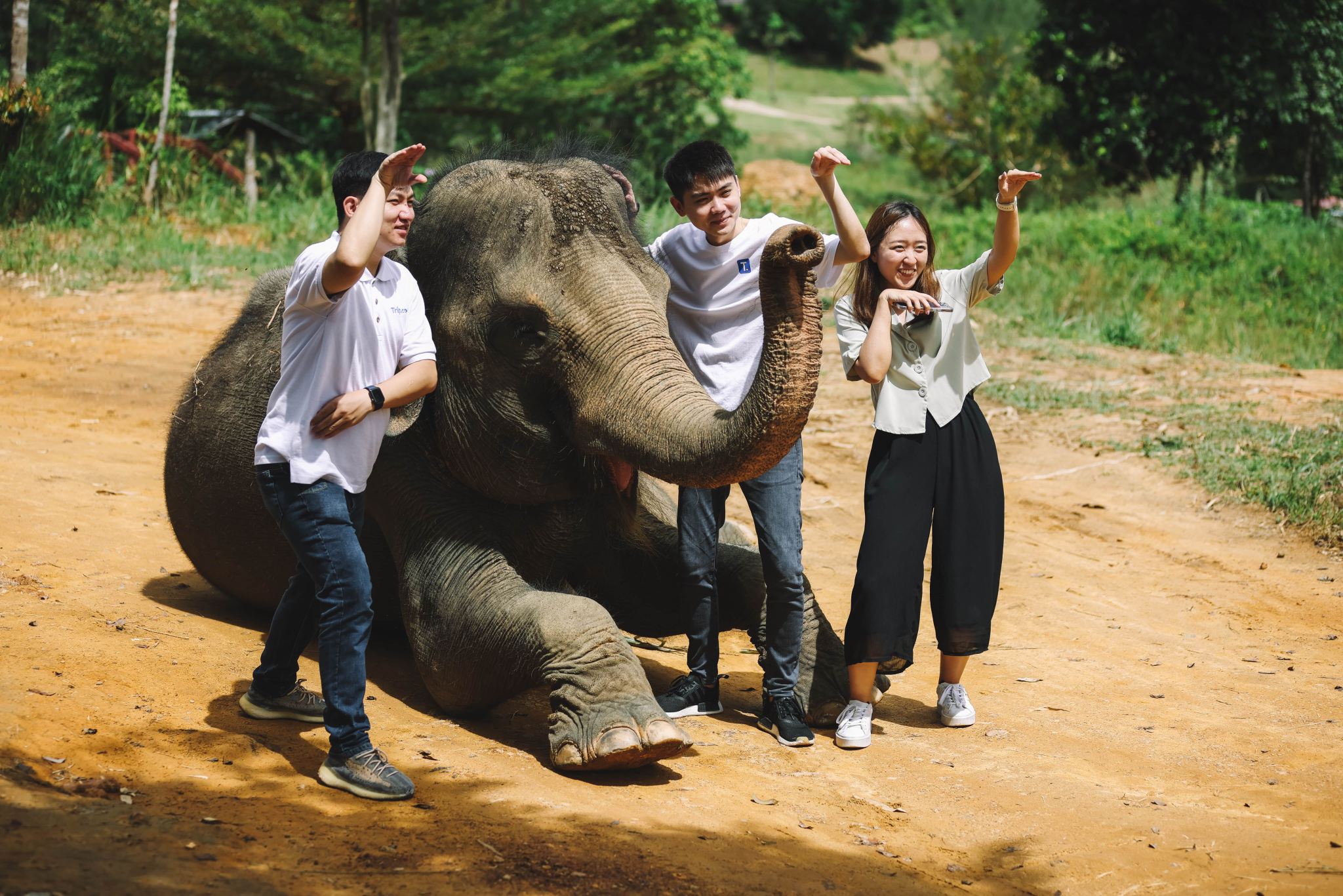 Bintan Safari Lagoi & Eco Farm with Hotel Transfer and Lunch Option | Indonesia