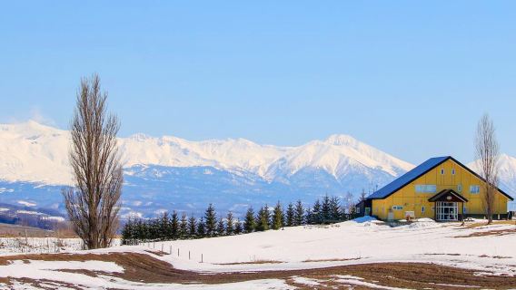 Hokkaido Forest Fairy Terrace + Asahiyama Zoo + Blue Pond one-day tour|Winter Limited Edition
