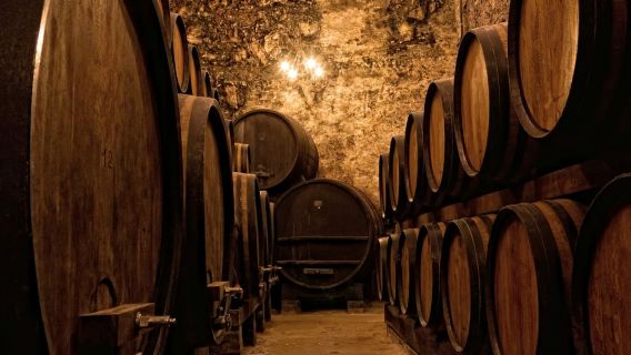 ポルト：ガイド付きウォーキングツアー + ランチ + ワインテイスティング + ボート乗船