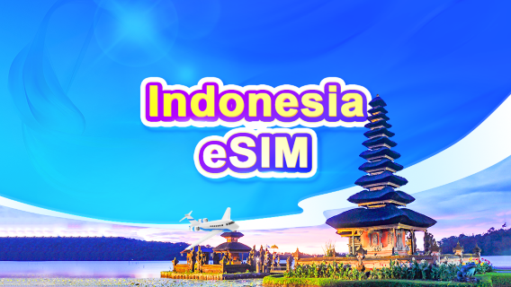IndonesiaSIM Cards