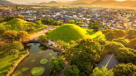 Gyeongju Unesco World Heritage Site + Sky Capsule Day Tour (From Busan)