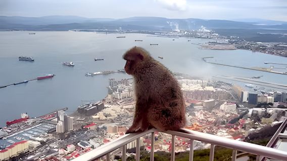 Gibraltar: Sightseeing Tour from Seville