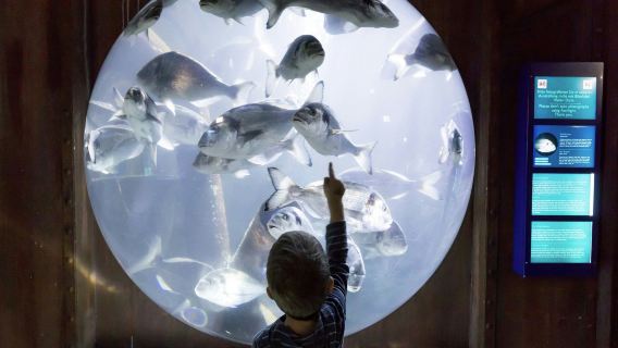SEA LIFE Speyer: Entry Ticket