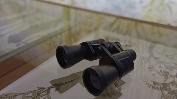 RADICI. Piccolo Museo della Natura: Entry Ticket + Self-Guided Tour