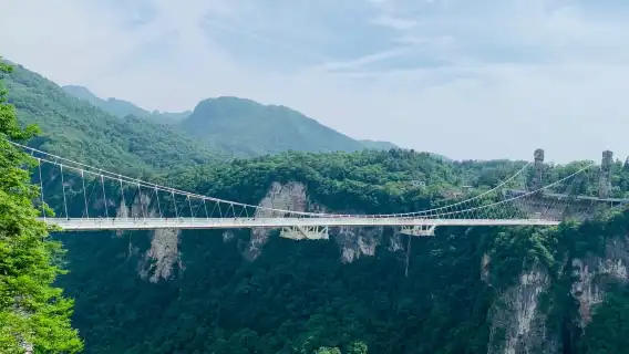 장자제 아바타 산과 최장 유리 다리 프라이빗 종일 투어