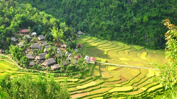 Partenza da Hanoi|Trekking a Pu Luong 2 Giorni - Tour Organizzati