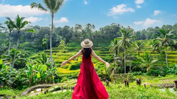 烏布之旅:梯田、猴林、象洞、巴圖安神廟、瀑布日遊