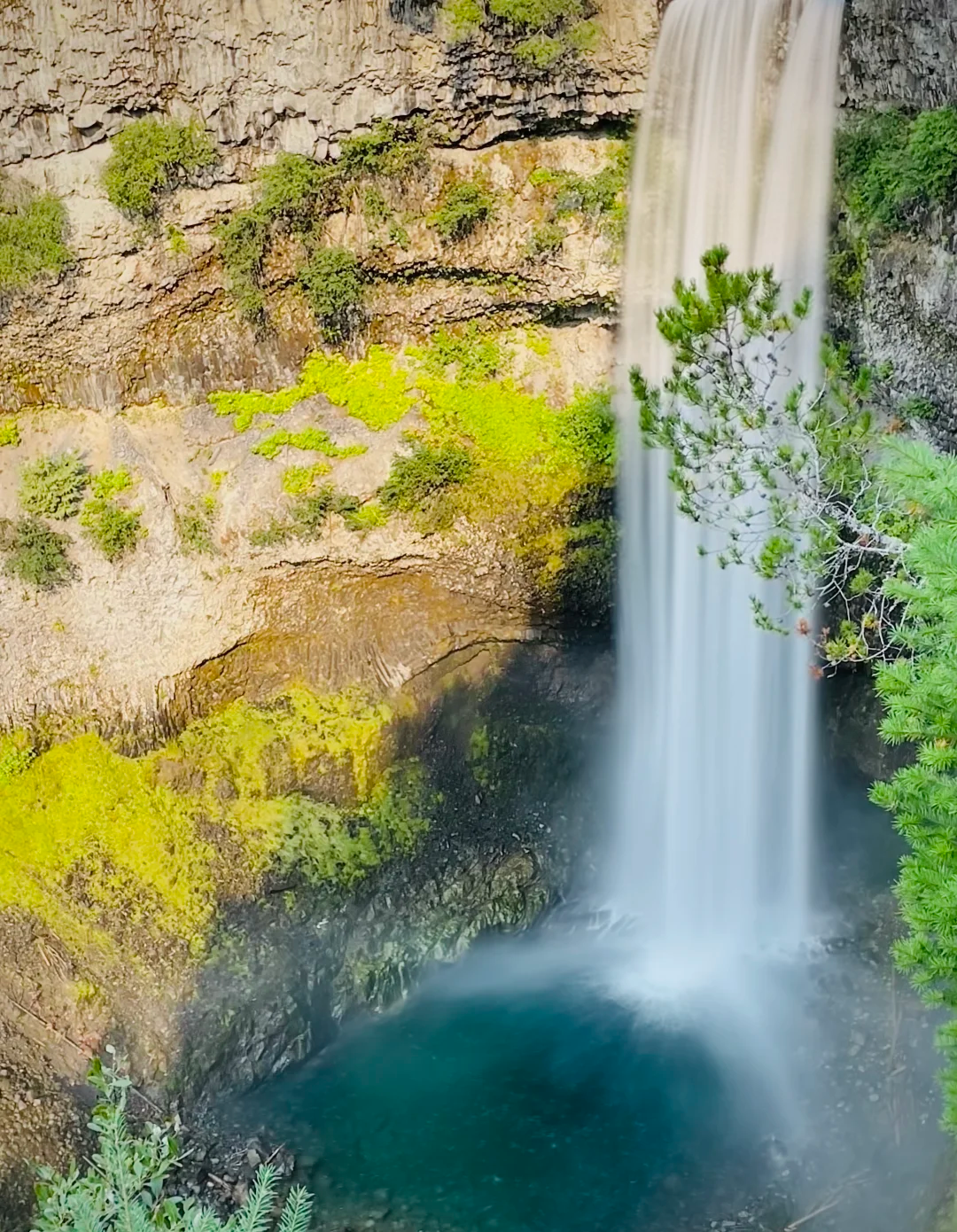香儂瀑布＋海天纜車＋惠斯勒度假村：溫哥華包車一日遊