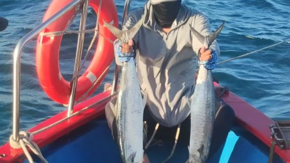 廣東湛江南海明珠碼頭快艇出海海釣【可選散拼/包船+專業船長教學+魚獲免費帶走】