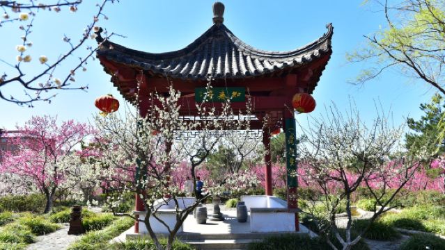 Touyuan Zhu + Kawasan Pemandangan Taihu Touyuan Zhu - Lembah Bunga Sakura + Kota Tiga Kerajaan + Taman Plum