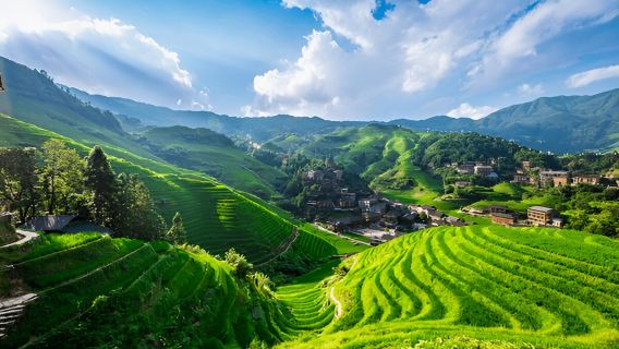 Lawatan Persendirian Guilin Sehari: Teres Longji, Puncak Solitary Beauty & Bukit Gajah