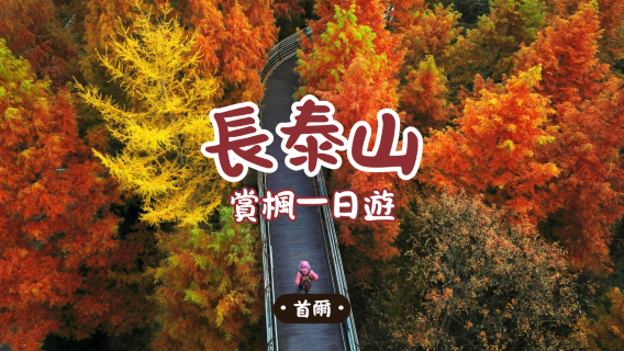 全州日遊