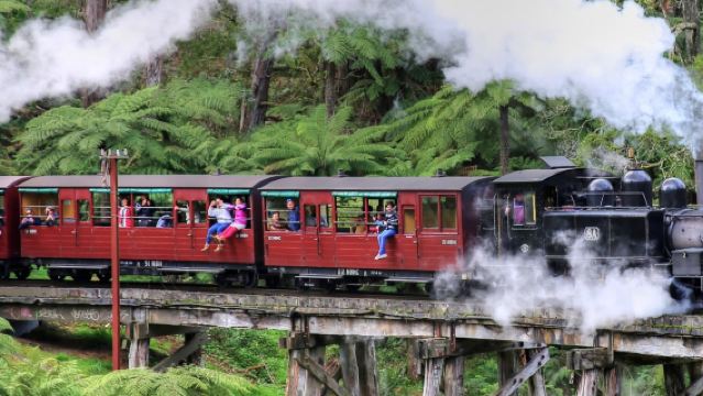 Melbourne Puffing Billy Railway + Phillip Island Day Tour with Tickets and Tips Included