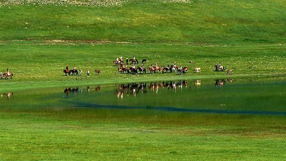 One-Day Private Chartered Car Tour from Hohhot to Huitengxile Grassland