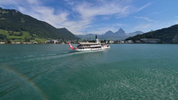 Ingenbohl: crociera di andata e ritorno sul lago di Uri da Brunnen a Flüelen