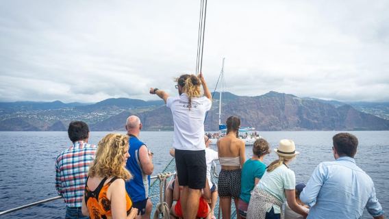 Madeira: excursión en barco de 5 horas por la costa este