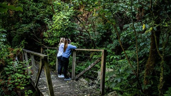 Crucero turístico de exploración del lago Taupo con baño en temporada