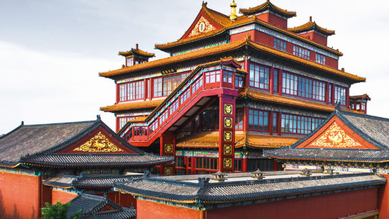 Лангфанг: аренда автомобиля с водителем, услуги гида, переводчика, встреча и проводы, сопровождение в турах, выставках, деловых поездках, сопровождение на медицинские осмотры